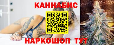 индика Тара