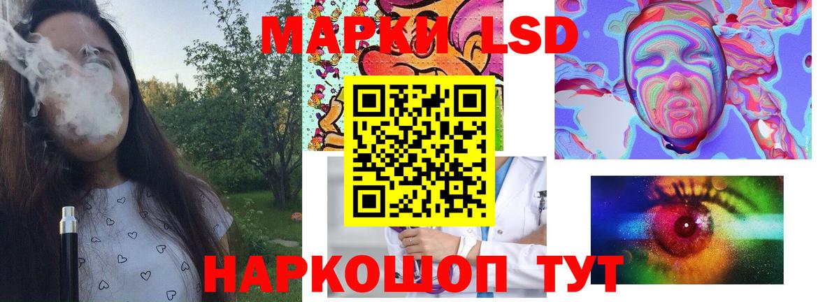 Лсд 25 экстази ecstasy  Лсд 25 экстази кислота  Новозыбков  ЛСД экстази  Вход с VPN 