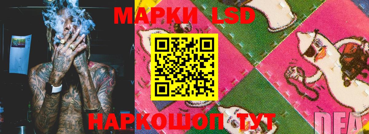 купить закладку  Вход с VPN  Новозыбков  Марки N-bome  Марки NBOMe 1,8мг  Марки NBOMe 1,8мг 