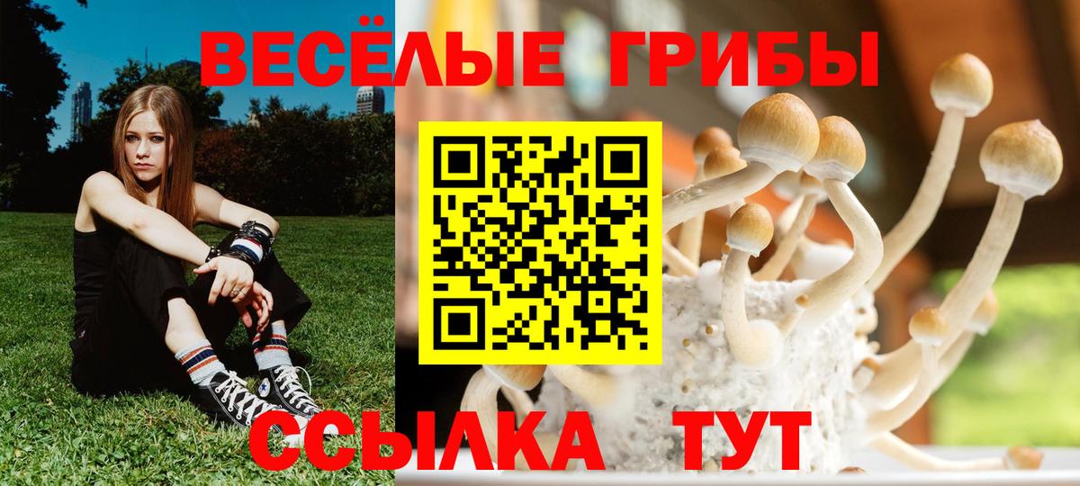 Cocaine  Кетамин  Как найти закладки?  Новозыбков  Вход с VPN  Меф   Марихуана  Cocaine 