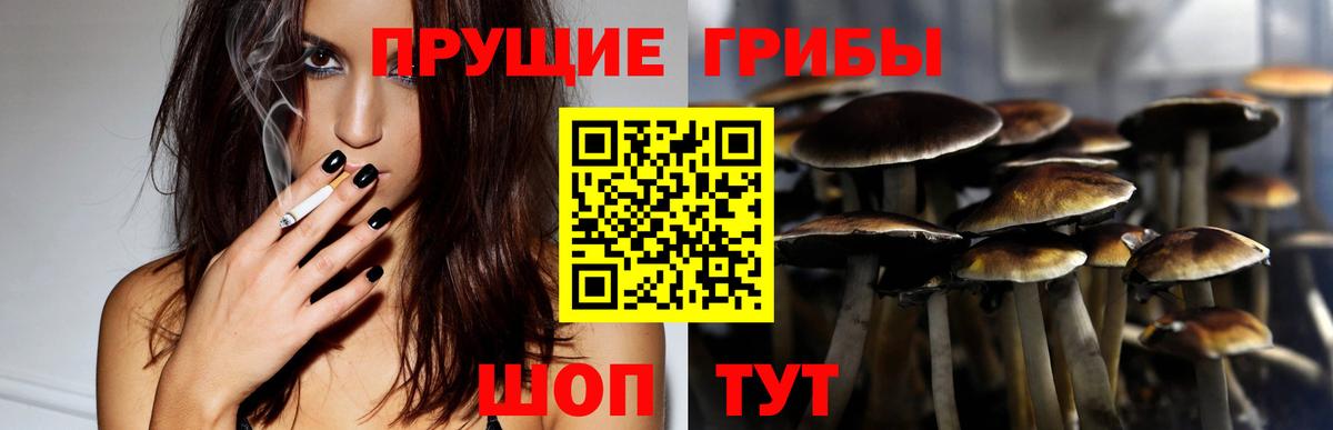 где продают наркотики  Галлюциногенные грибы Cubensis  Вход с VPN  Новозыбков 
